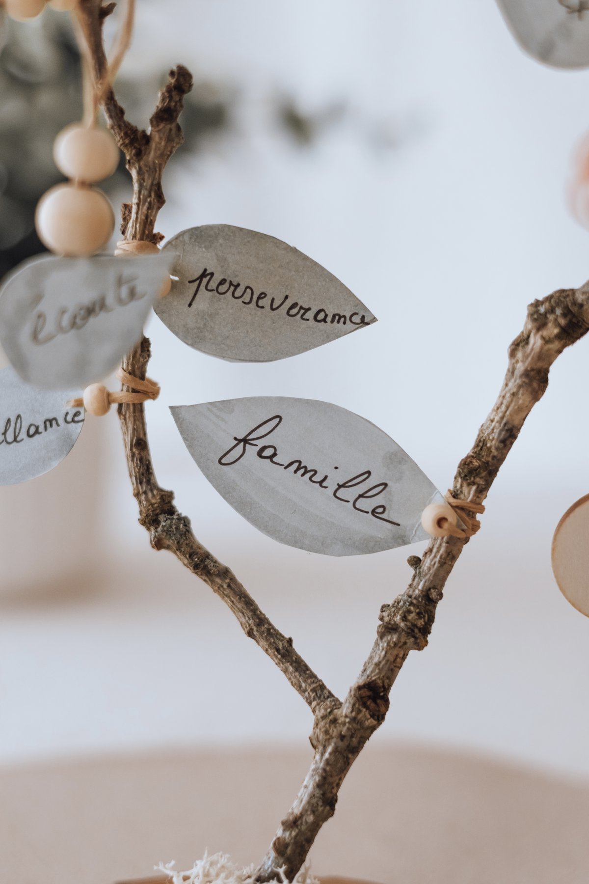 Feuilles calligraphiées suspendues à l'arbre des valeurs — Entre Deux